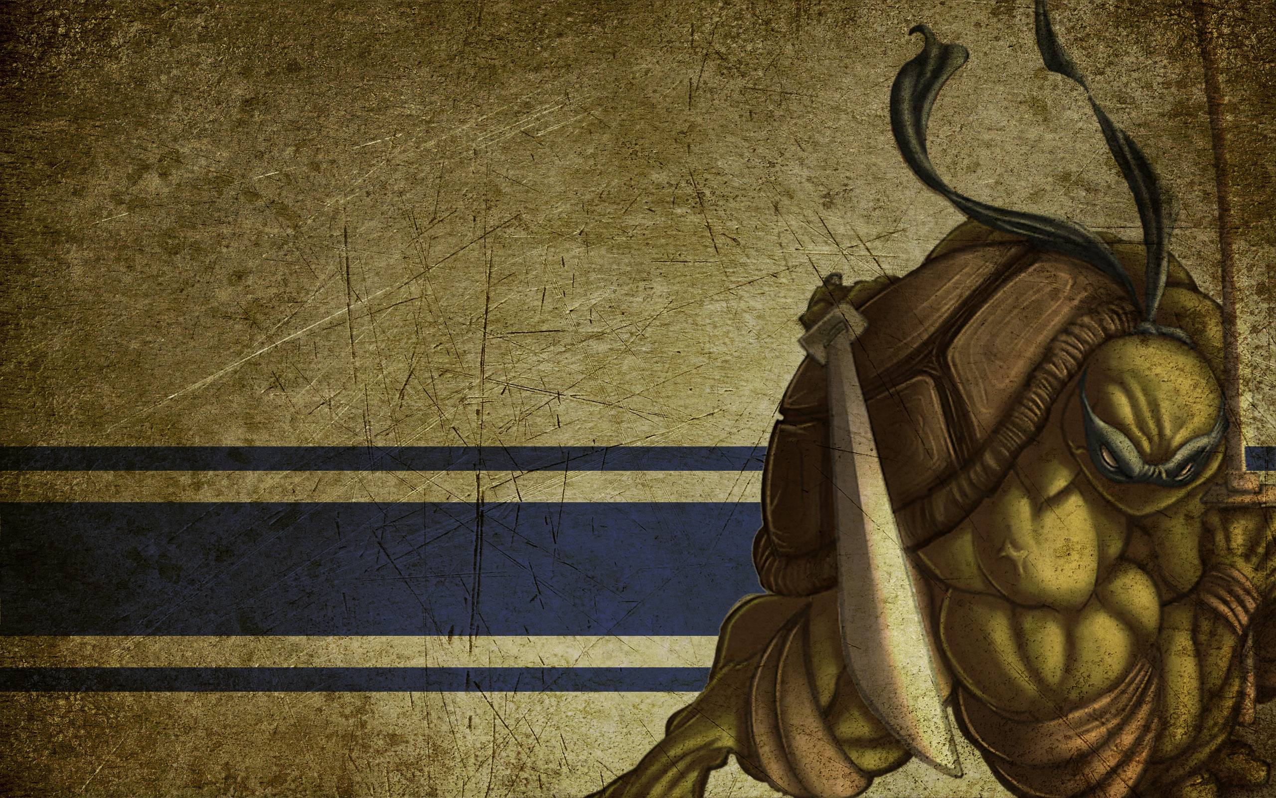 2560x1600 Ninja Turtle Mask Background Wallpaper 22037