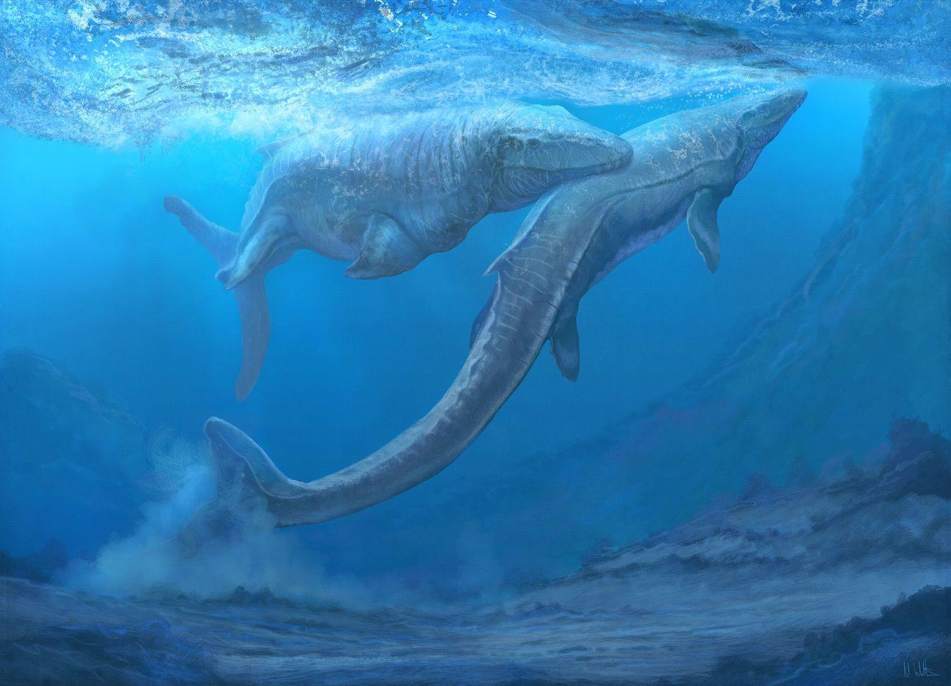 Tổng hợp nhiều hơn 89 hình nền mosasaurus mới nhất  thdonghoadian