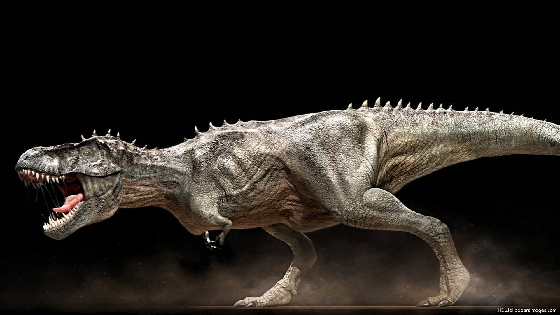 1920x1080 2768450 Dinosaurs (1920×1080). Dinosaur Picture, Dinosaur Wallpaper, Dinosaur