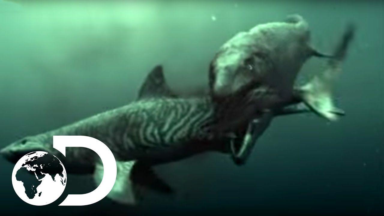 1280x720 Mosasaur Shark Attack of the Dinosaurs