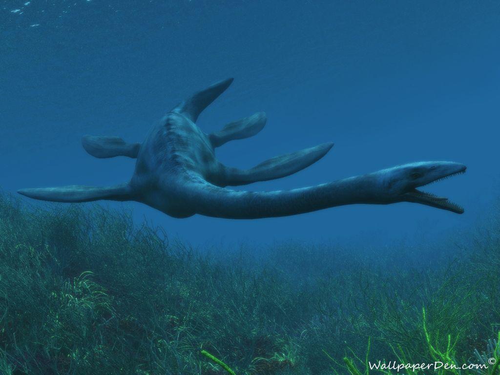1024x768 mosasaur