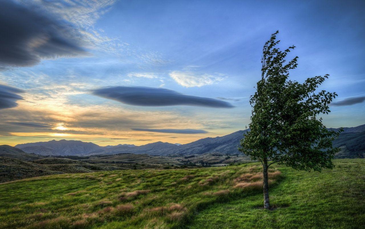 1280x804 Tree Field Hills Sun Clouds wallpaper. Tree Field Hills Sun Clouds