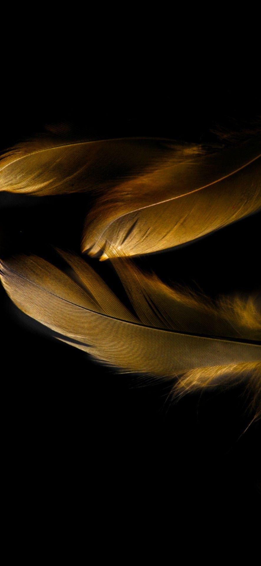 886x1920 Download Huawei Porsche Design Mate 20 wallpaper