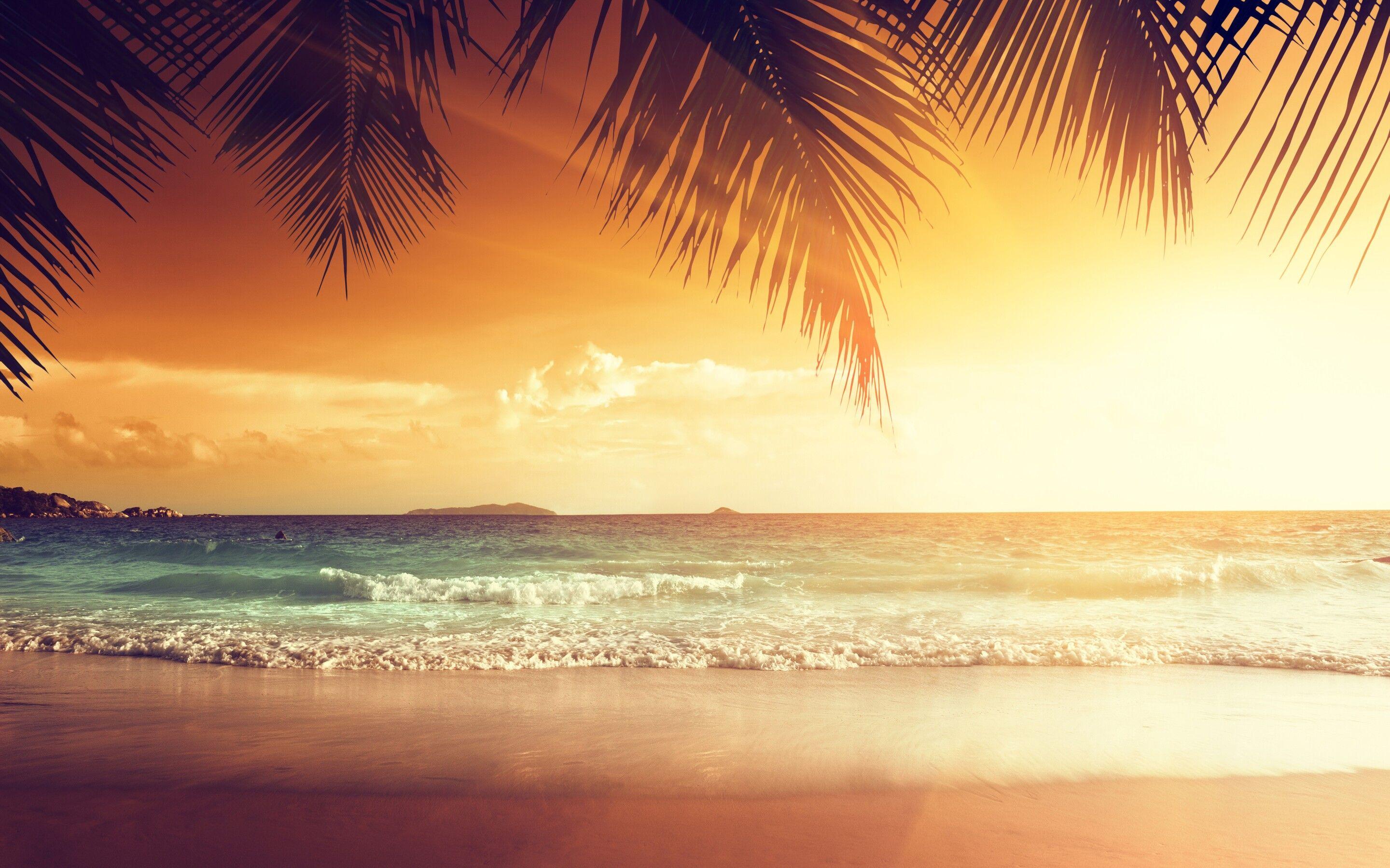 2880x1800 Landscape Beach Tropical Sun Macbook Pro Retina HD 4k Wallpaper, Image, Background, Photo and Picture