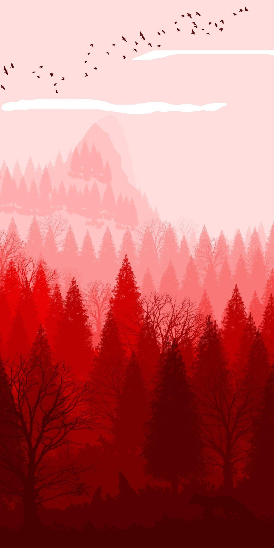 Minimalist Red and Black black and red minimalistic HD wallpaper  Pxfuel