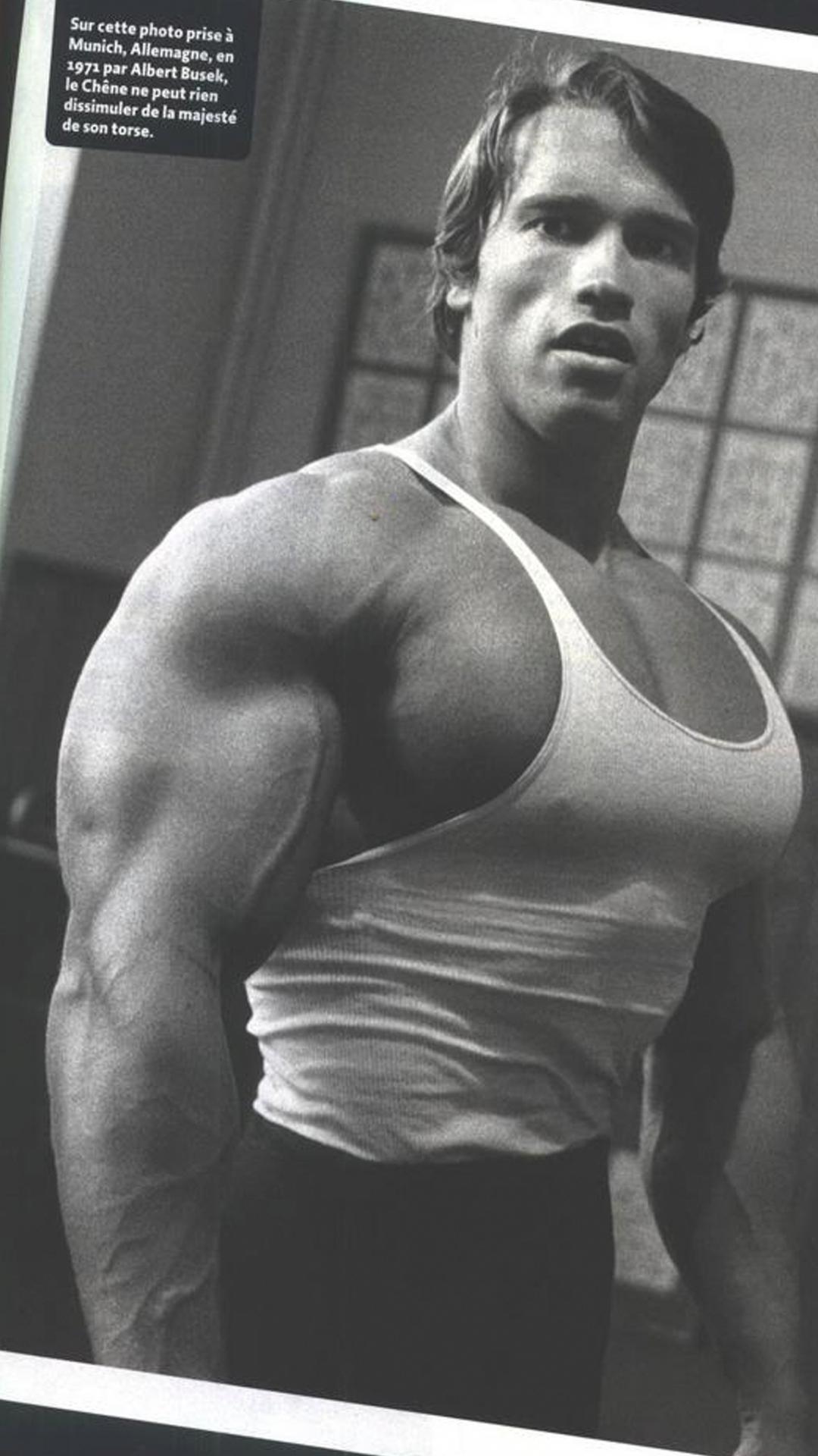 1080x1920 Arnold Schwarzenegger Phone Wallpaper