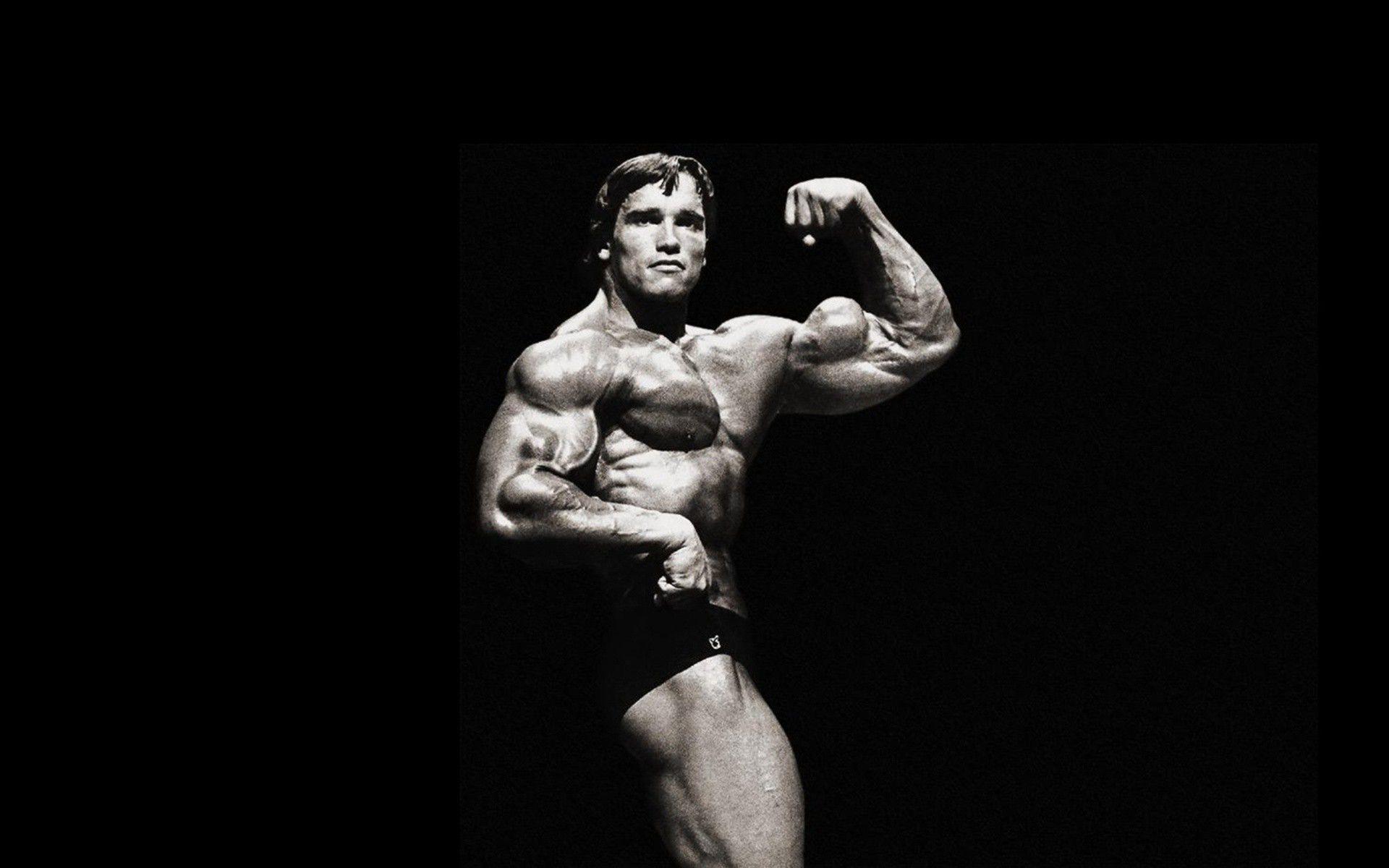 1920x1200 Free download Pics Photo Schwarzenegger Download Wallpaper Arnold [1920x1200] for your Desktop, Mobile & Tablet. Explore Arnold Schwarzenegger Wallpaper. Arnold Schwarzenegger Wallpaper Bodybuilding, Arnold Schwarzenegger iPhone Wallpaper