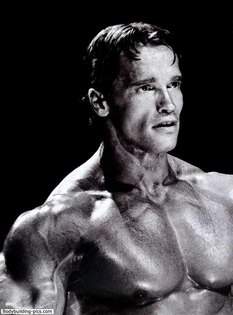 800x1083 Arnold Schwarzenegger Phone Wallpaper