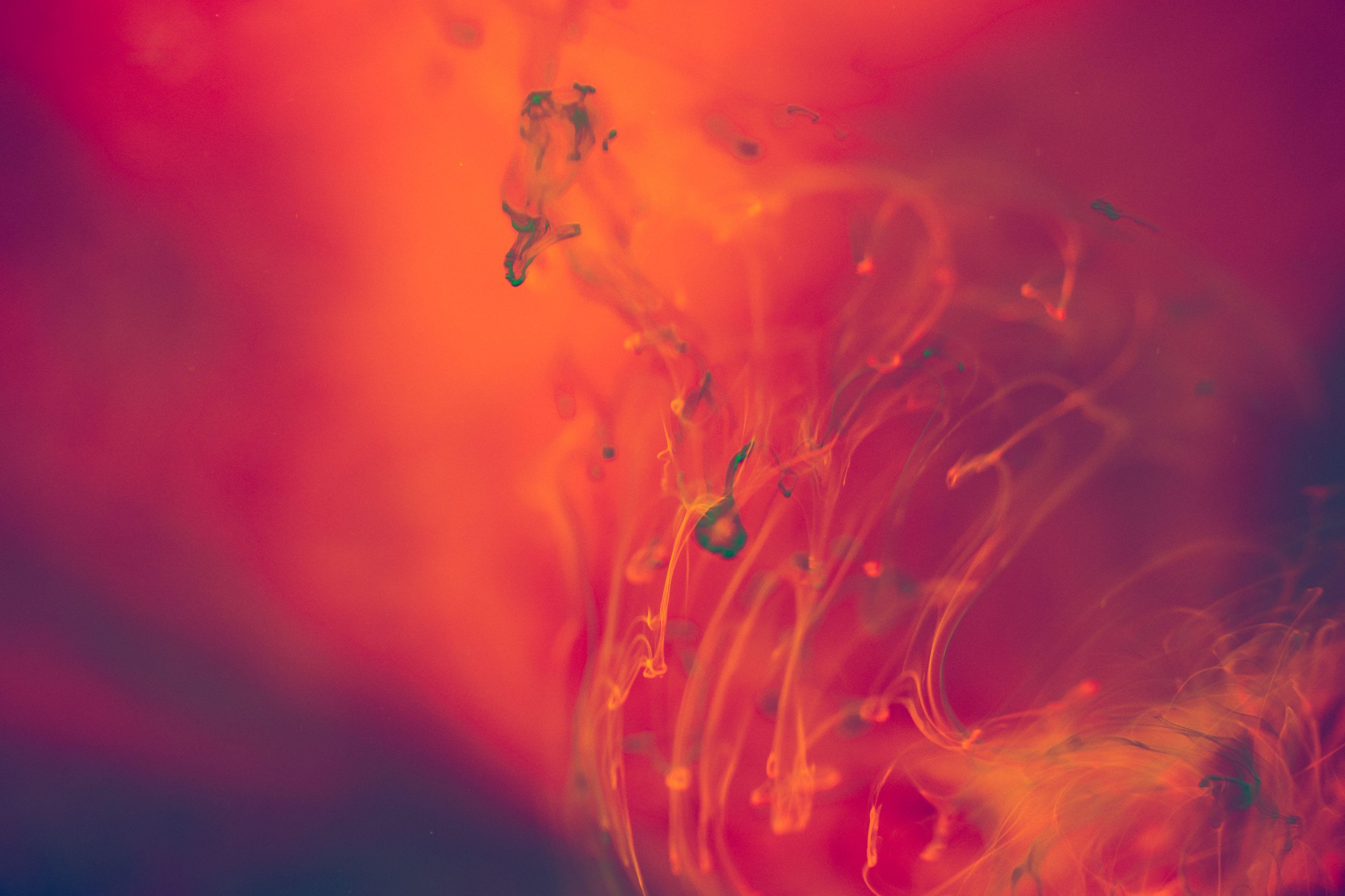 5000x3333 Abstract Red and Orange Liquid Background Free