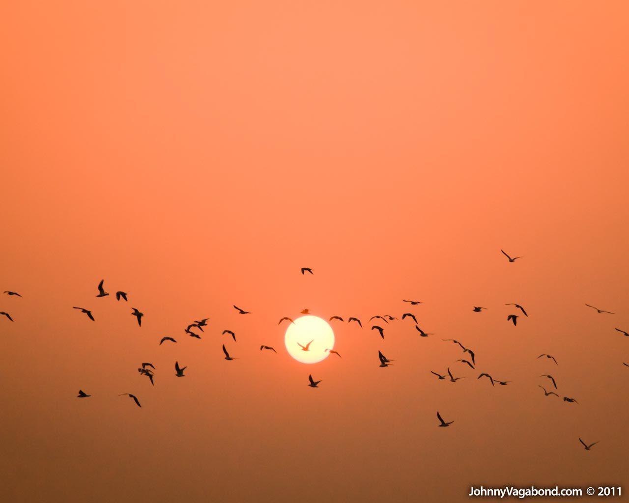 1280x1024 Desktop Wallpaper from the Ganges in Varanasi. India