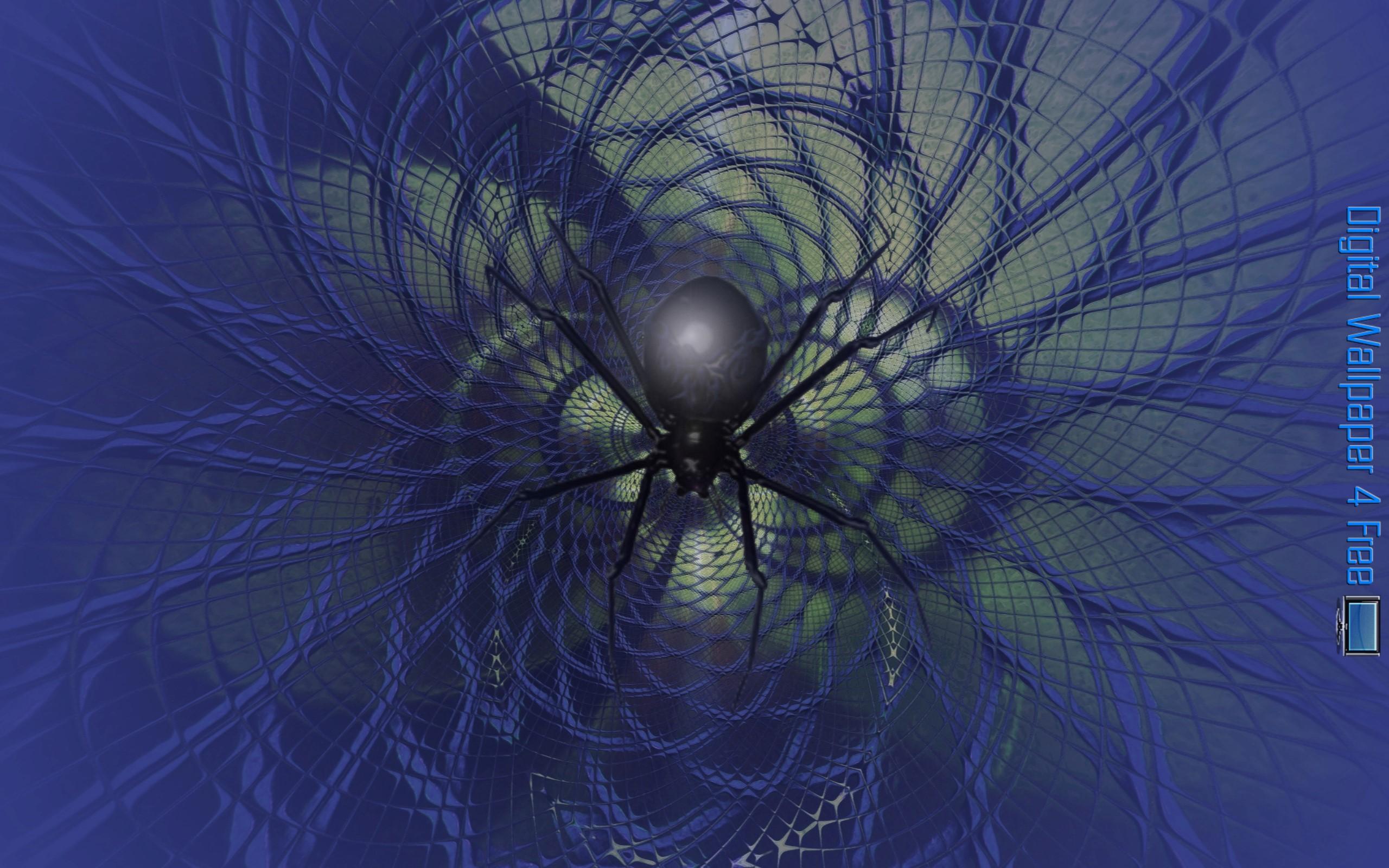 2560x1600 Spider On Blue Cryptic Wallpaper 4 Free