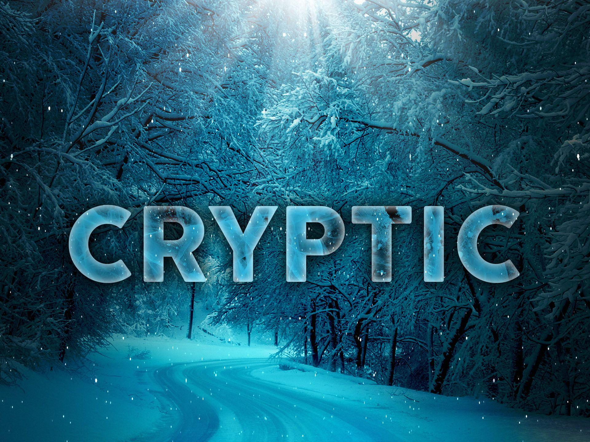 1920x1440 Cryptic Portfolio