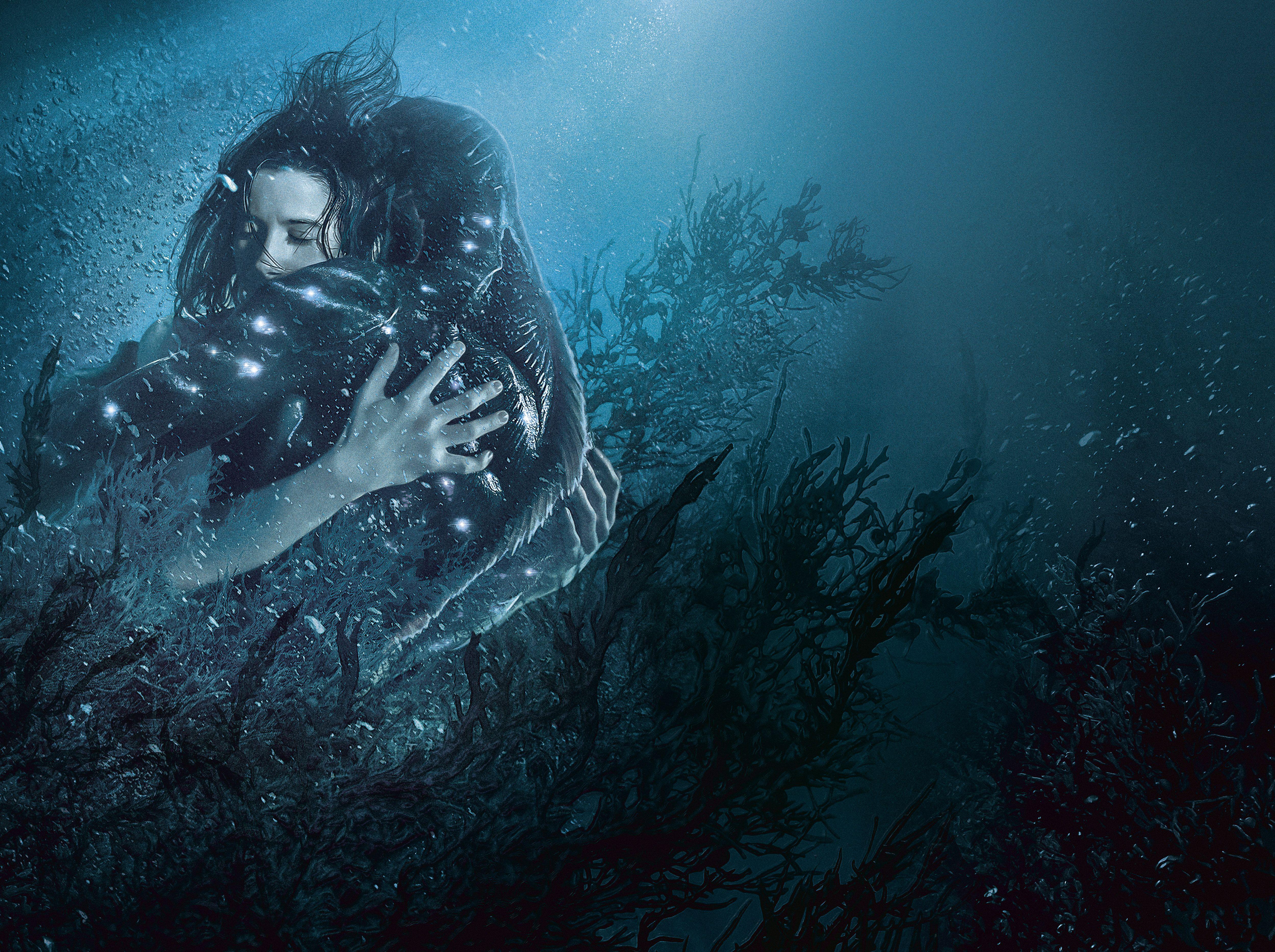 5000x3734 The Shape Of Water 5k, HD Movies, 4k Wallpaper, Image, Background, Photo and Picture