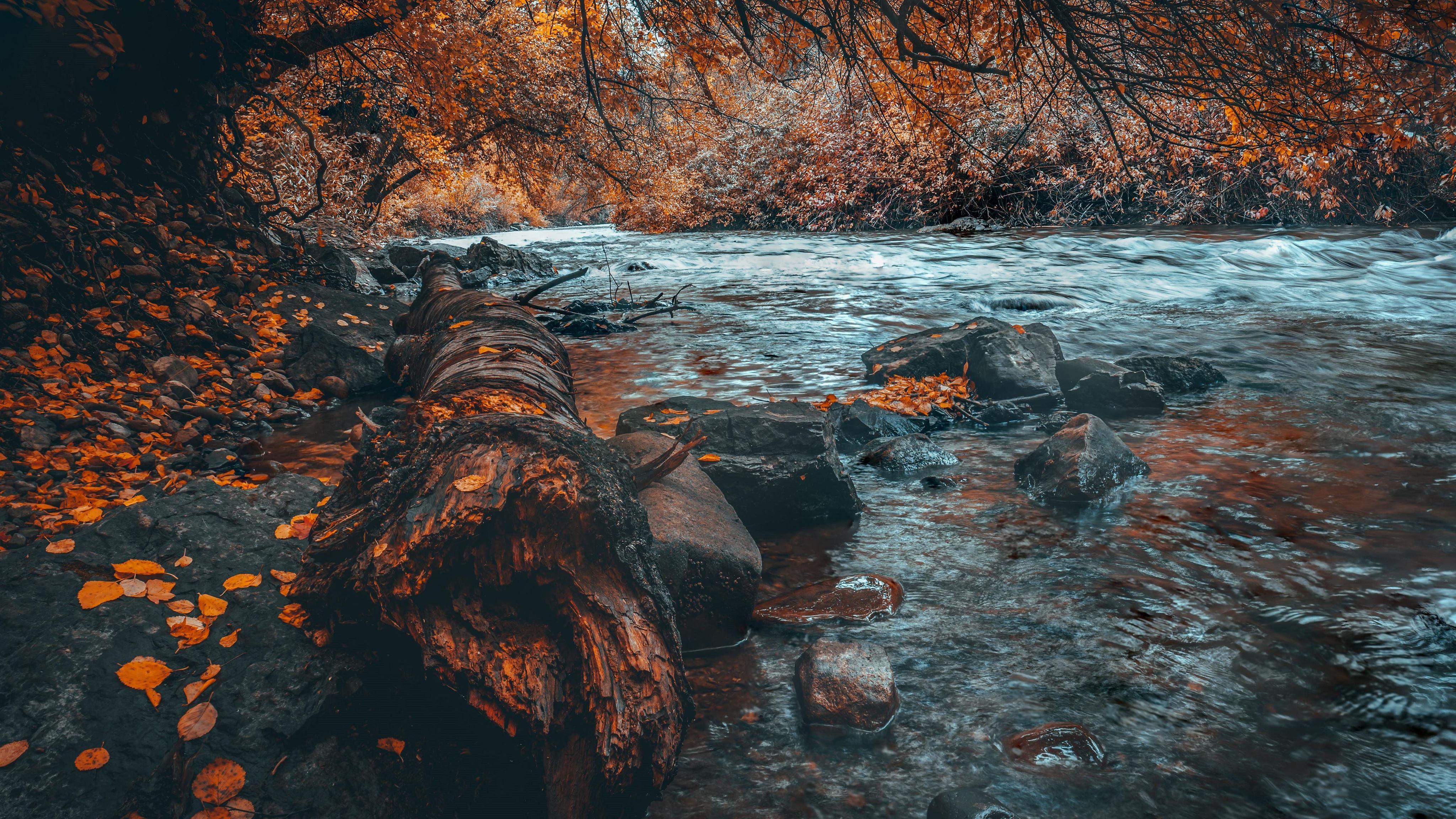 4096x2304 water body forest autumn 5k MacBook Air Wallpaper Download