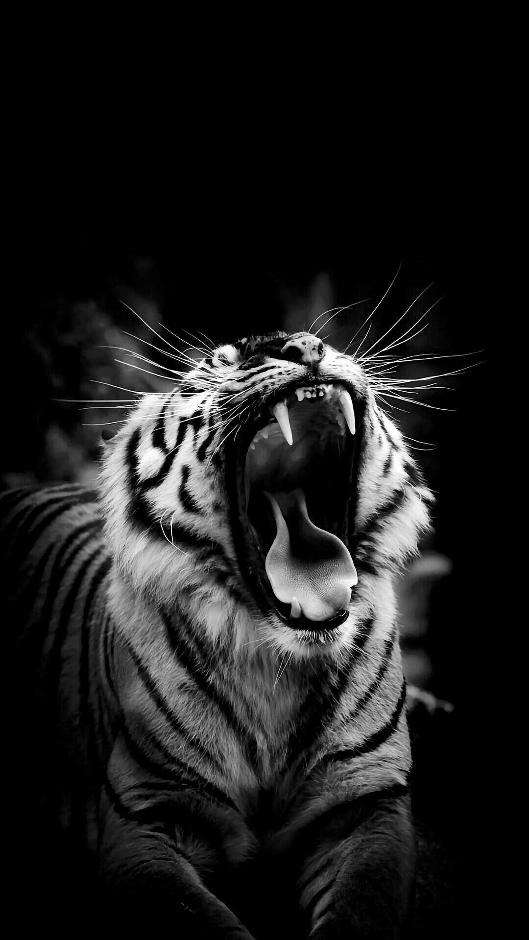 1080x1920 WILD DARK WALLPAPER. Tiger image, Wild animal wallpaper, Tiger photography