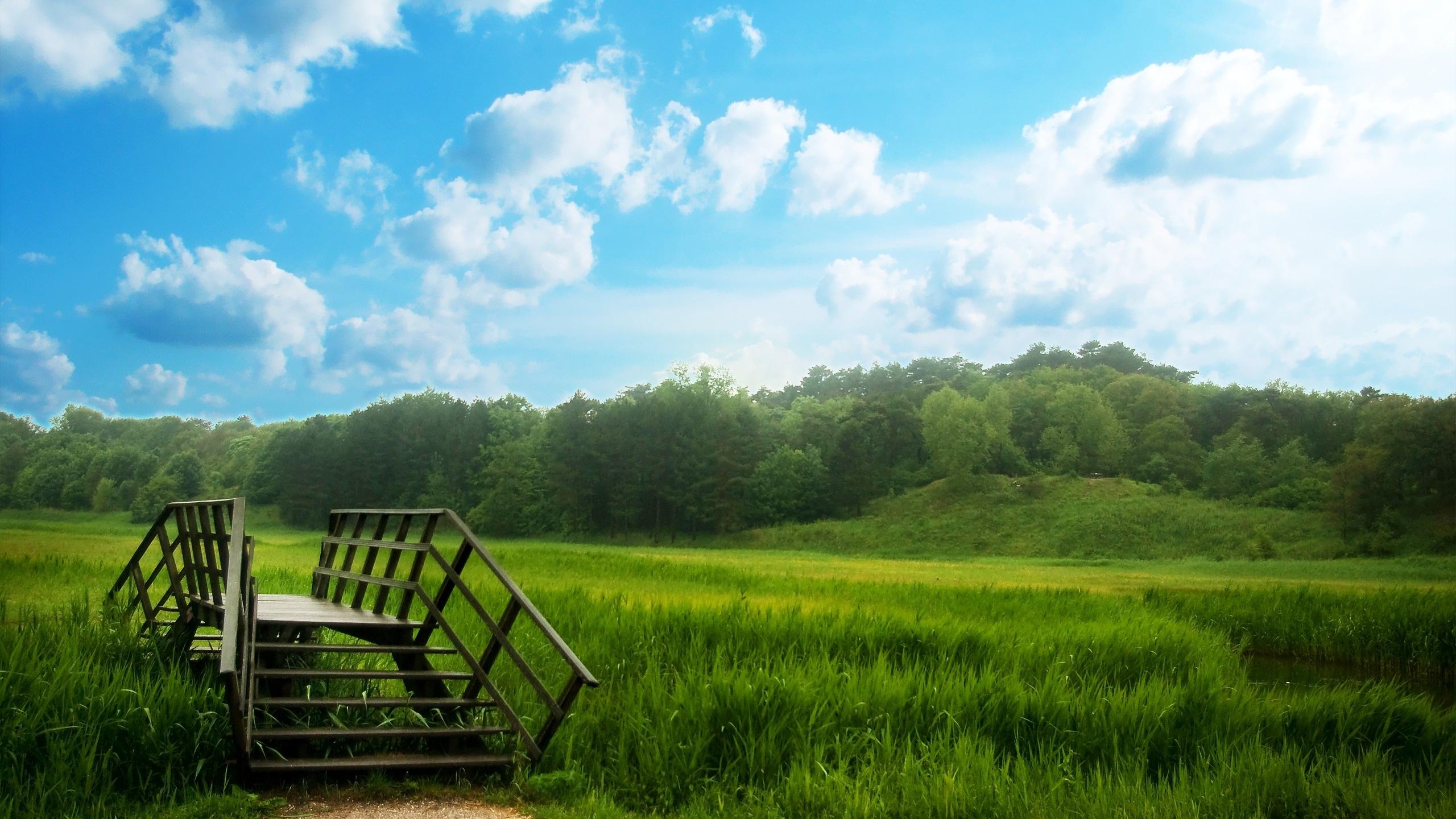 2560x1440 Green Wallpaper HD Good For Eyes