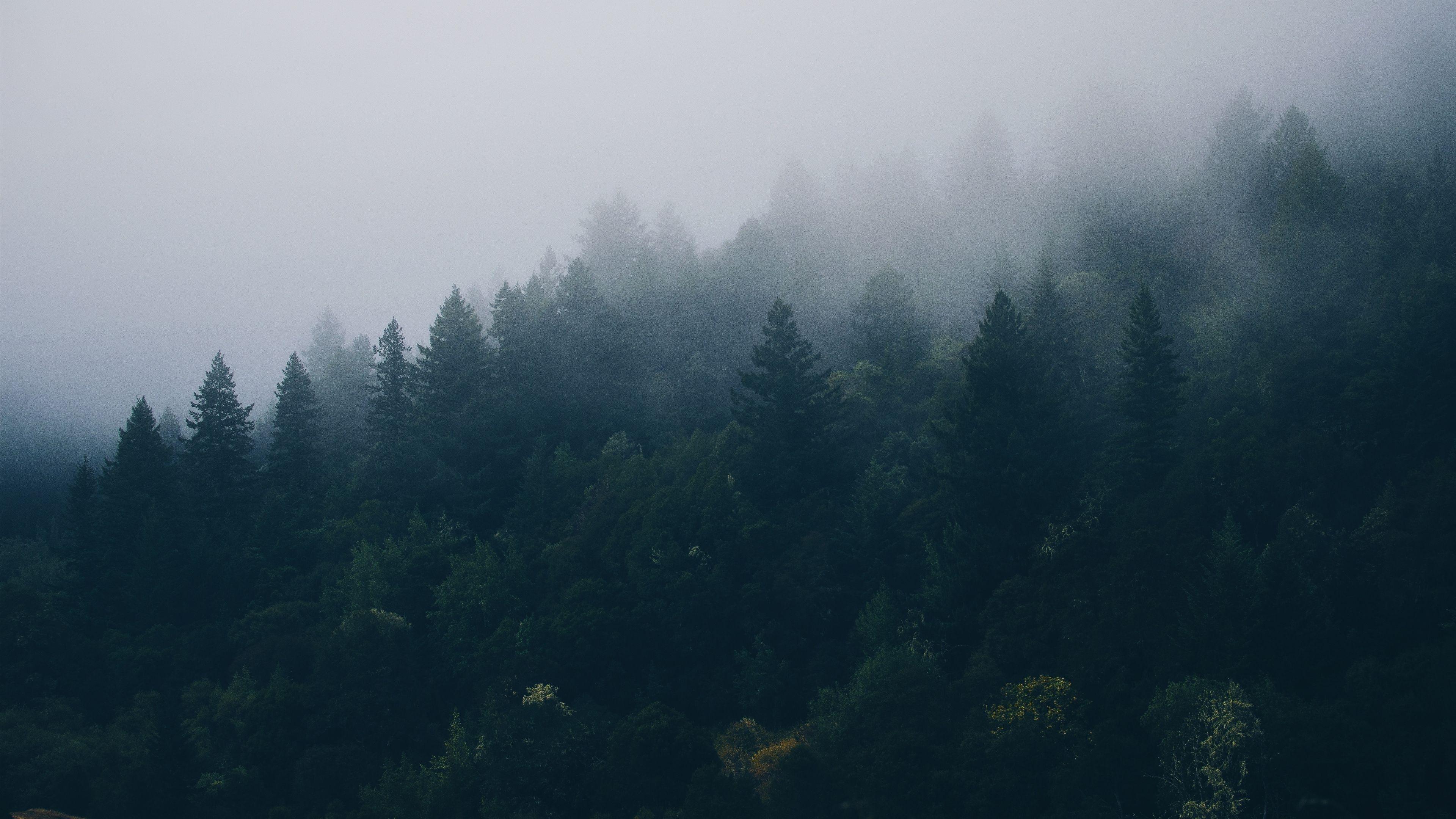 3840x2160 Chill wallpaper as it's Best