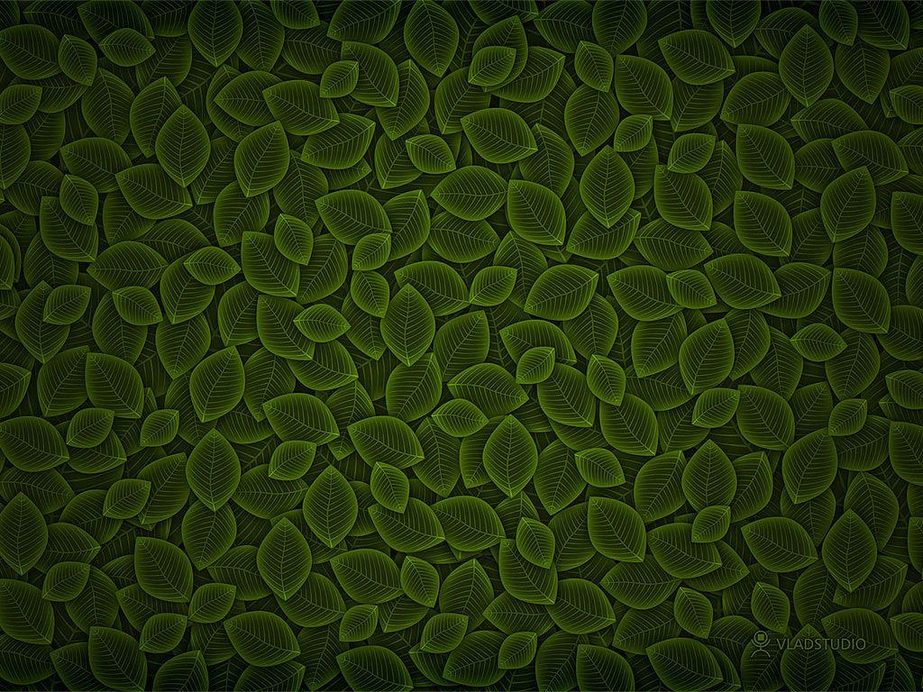 1024x768 Wallpaper Eco Friendly
