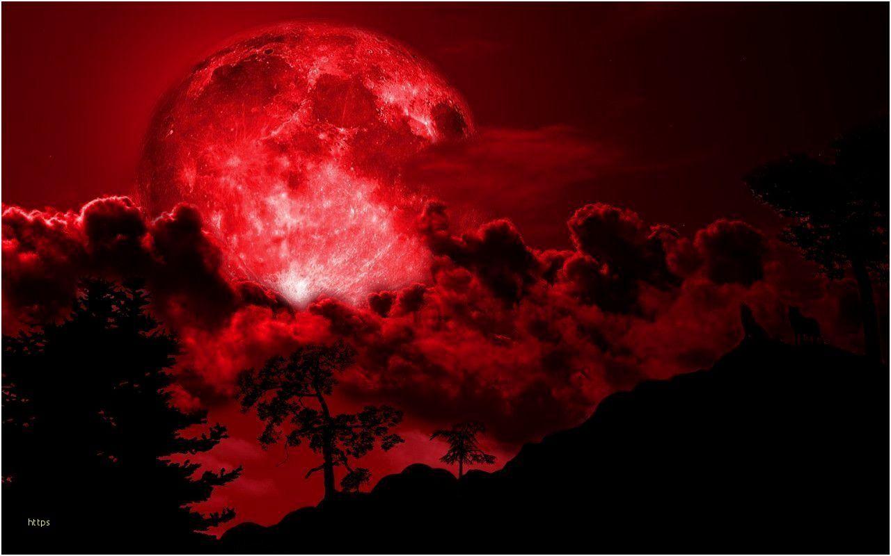 1280x800 Dark Side Of The Moon Hình nền Trăng tròn Màu đỏ Trang nhã - Mặt Trăng Đỏ - Tải xuống Hình nền & Nền HD