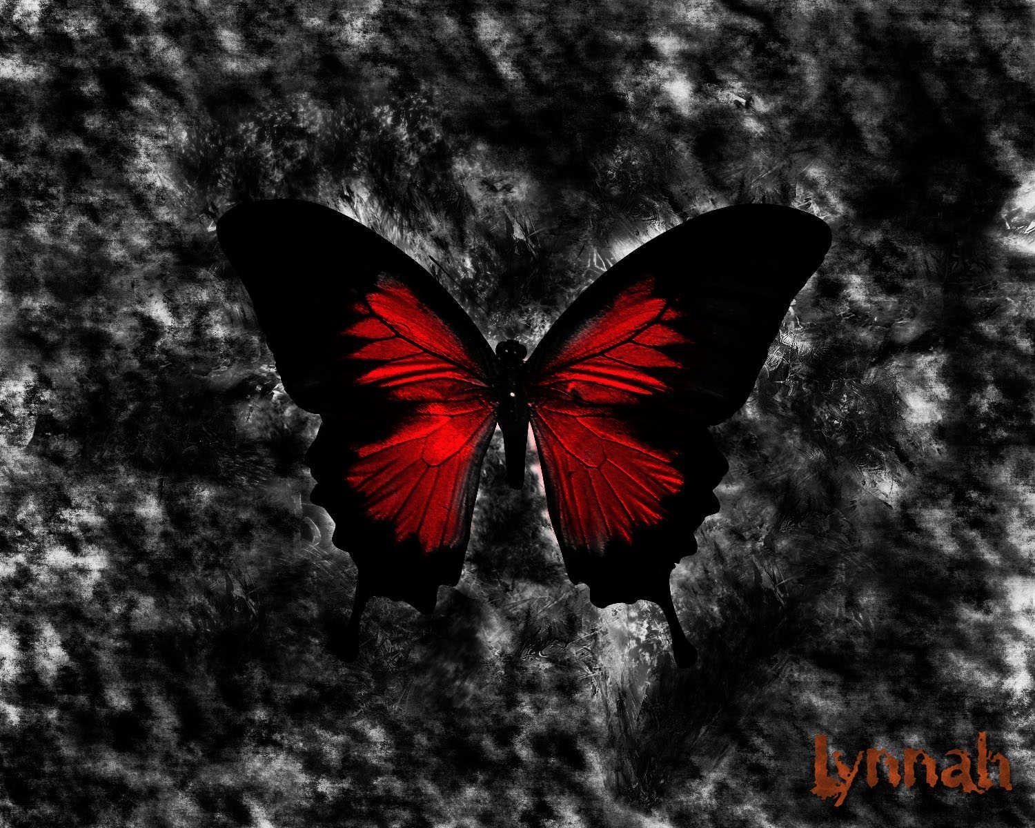 1500x1200 Crimson_ (1500×1200). Gothic wallpaper, Gothic background, Butterfly wallpaper