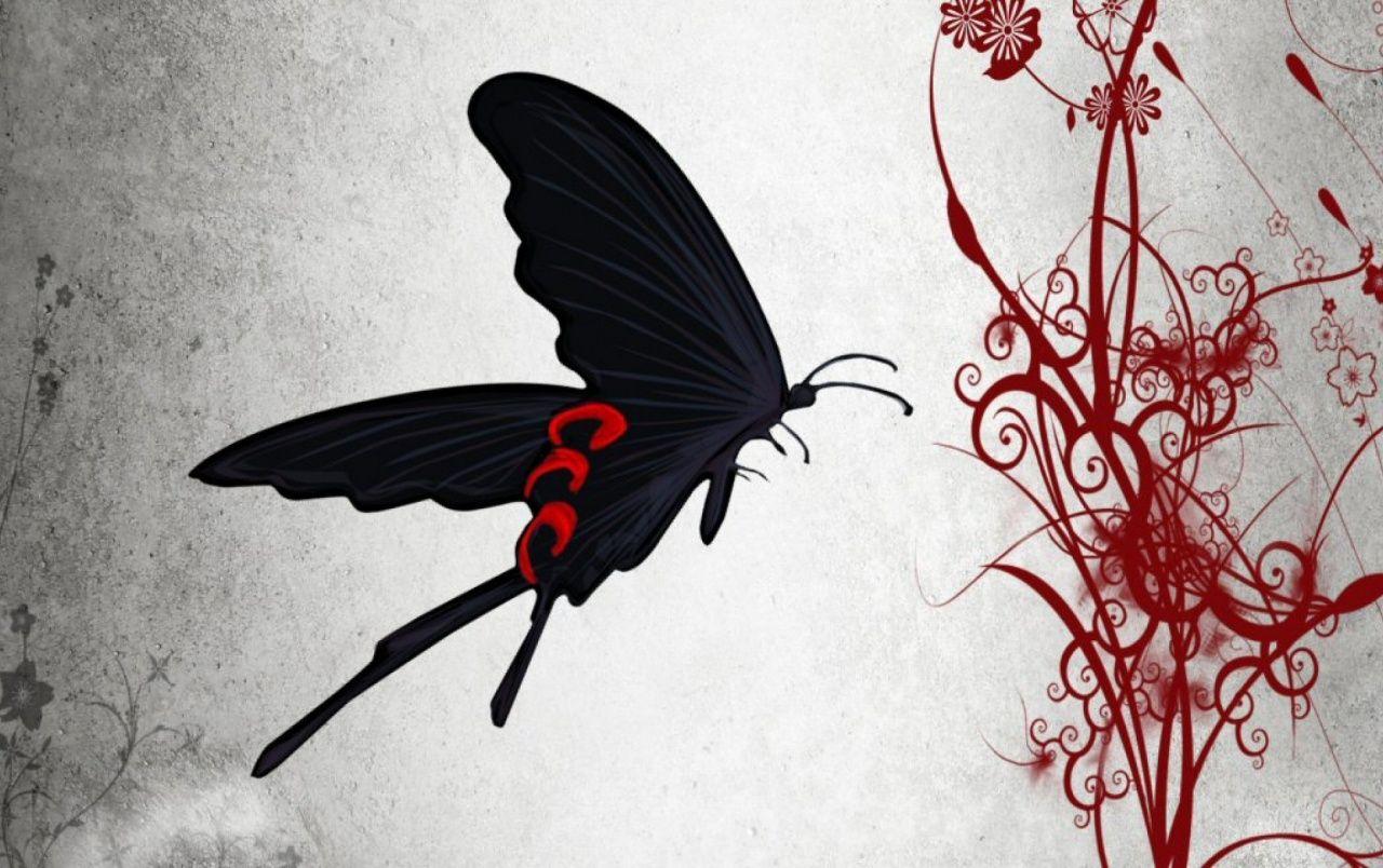 1280x804 Black Butterfly & Red Flower wallpaper. Black Butterfly & Red Flower