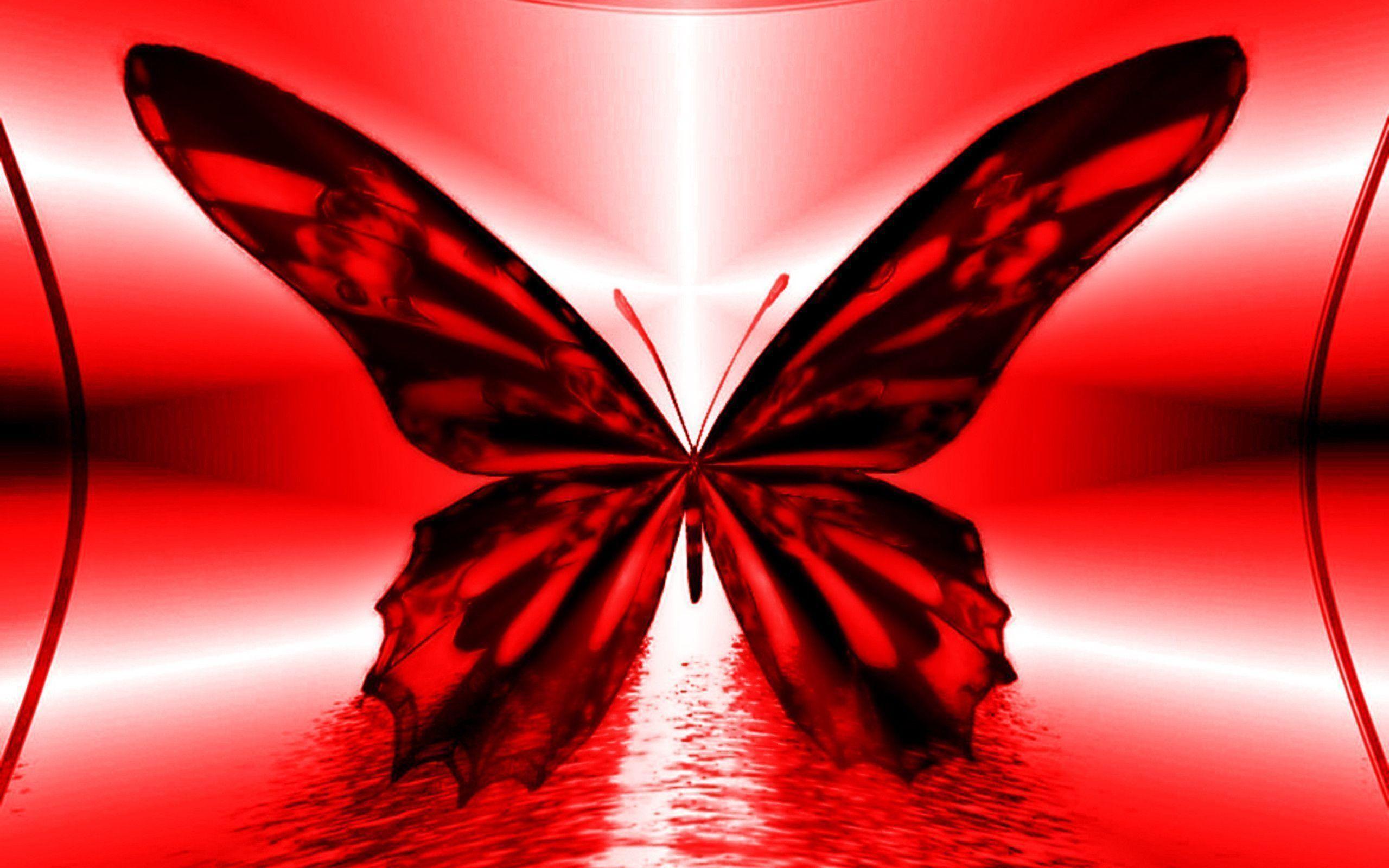 2560x1600 Abstract Red Butterfly. Butterfly wallpaper, Red butterfly, Black and white background