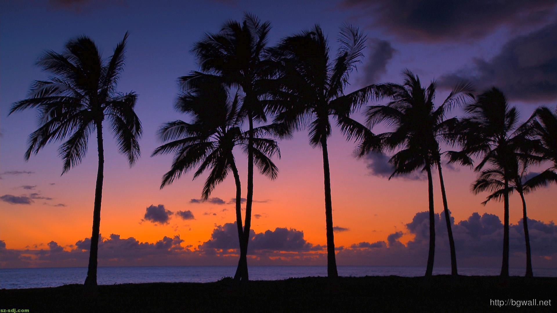 1920x1080 Hawaii Desktop Background