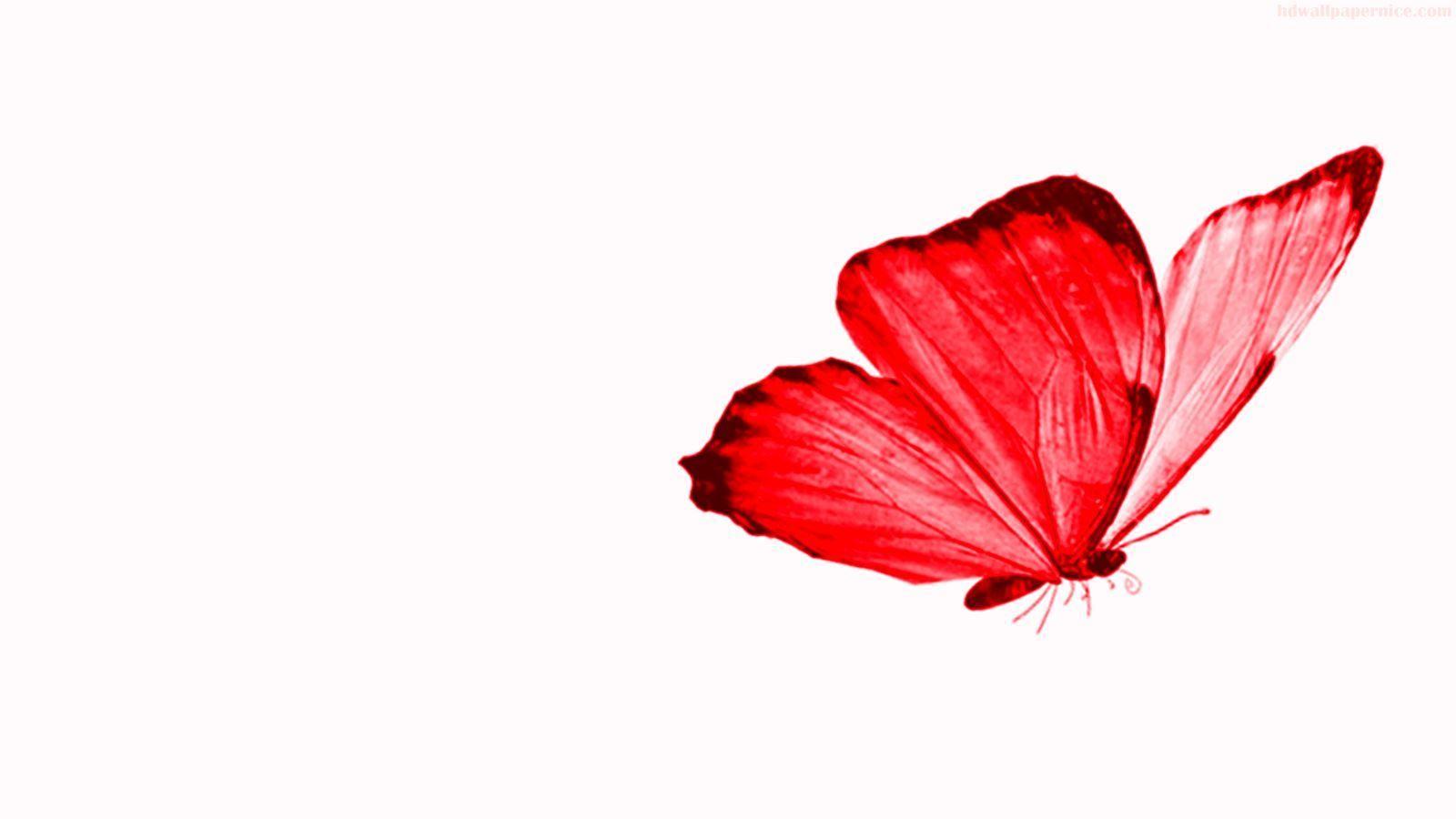 1600x900 Red Butterfly HD Wallpaper