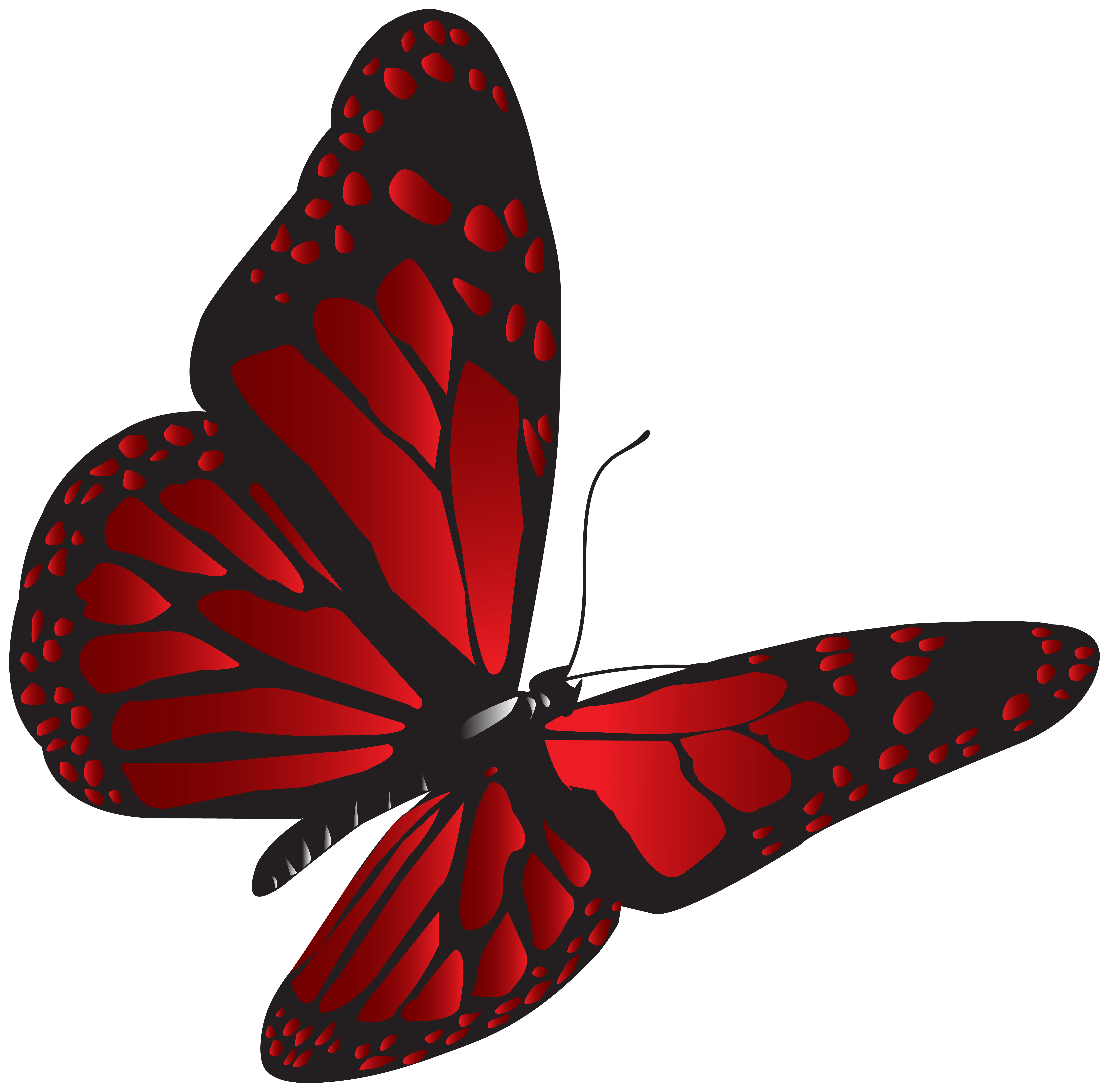 8000x7876 Red Butterfly PNG Clip Art Quality Image And Transparent PNG Free Clipart