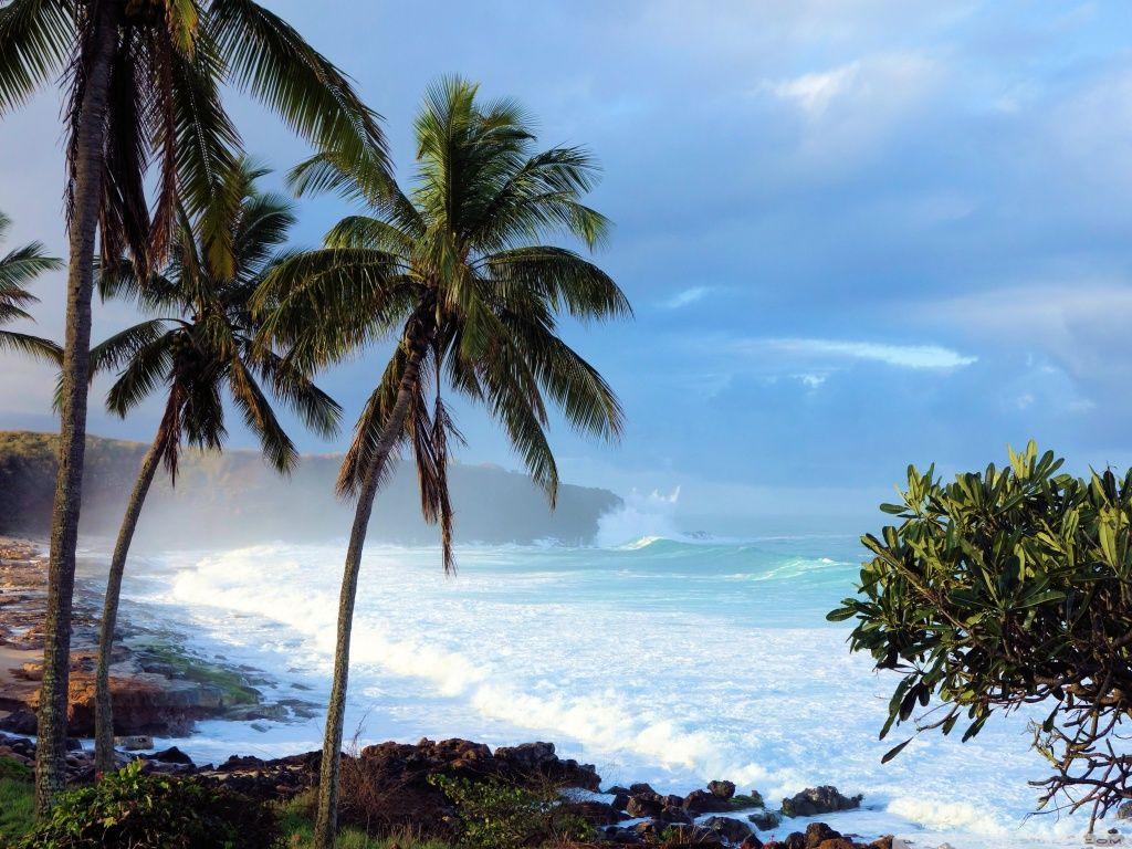 1024x768 Hawaiian Wallpaper