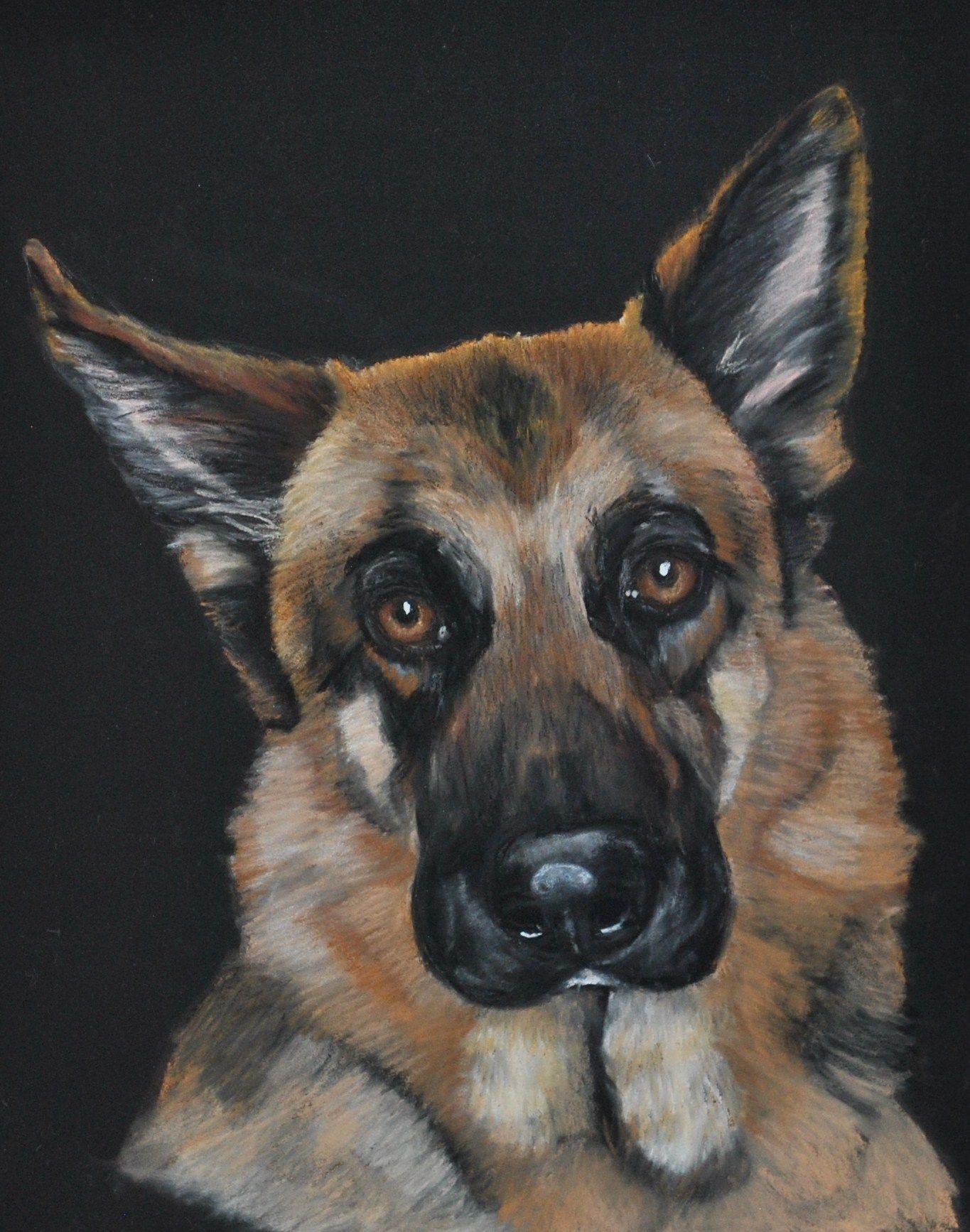 German Shepherd Art Wallpapers - Top Free German Shepherd Art ...