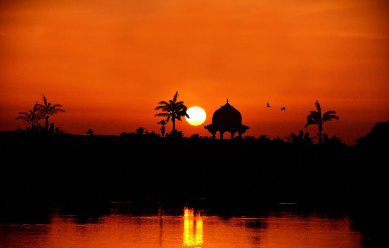 1332x850 Wallpaper sunset, river, palm trees, silhouette, Egypt, the Nile River towards Assuan image for desktop, section пейзажи