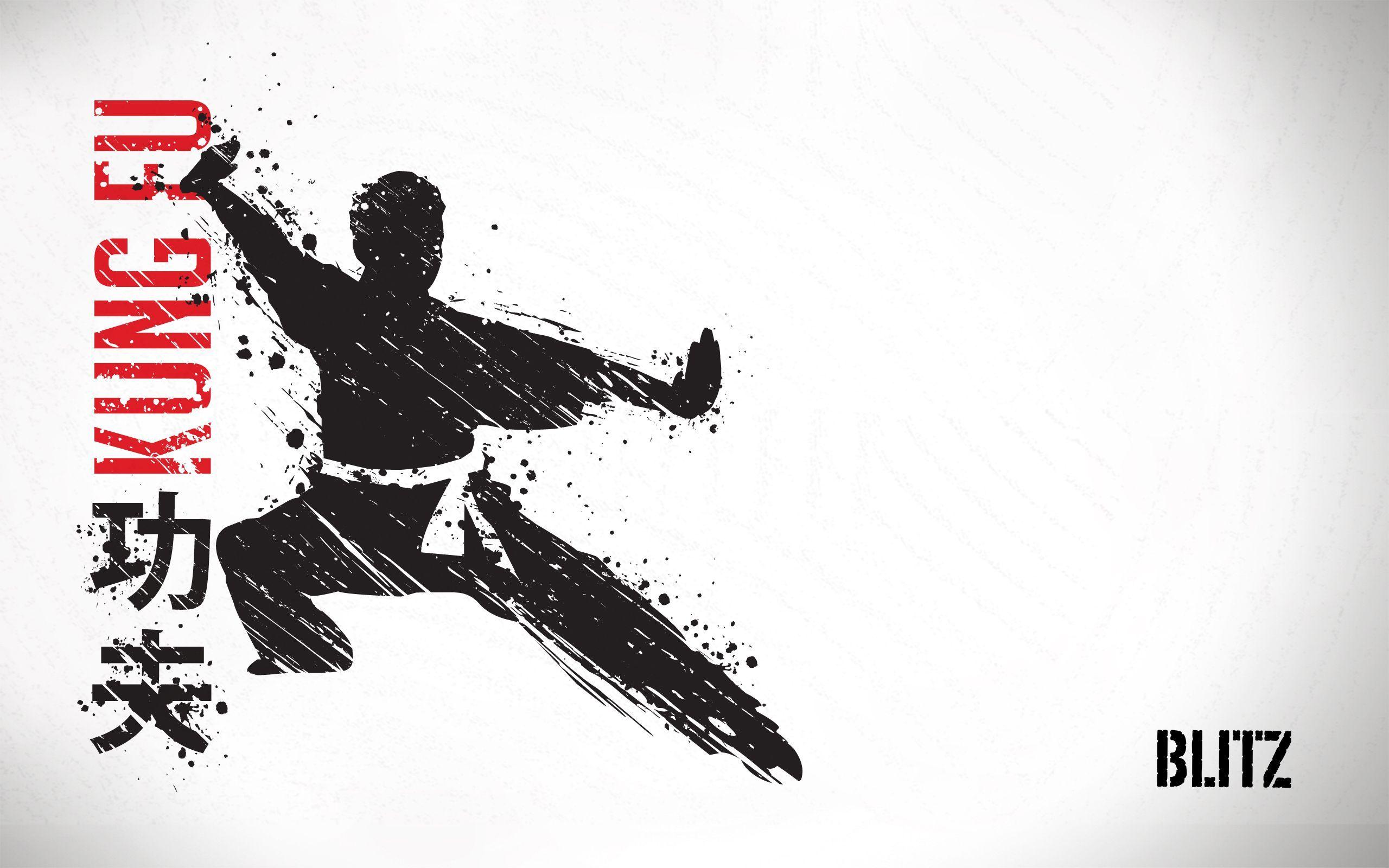 2560x1600 Blitz Kung Fu Wallpaper (2560 x 1600). Crazy wallpaper, Wallpaper, Kung fu