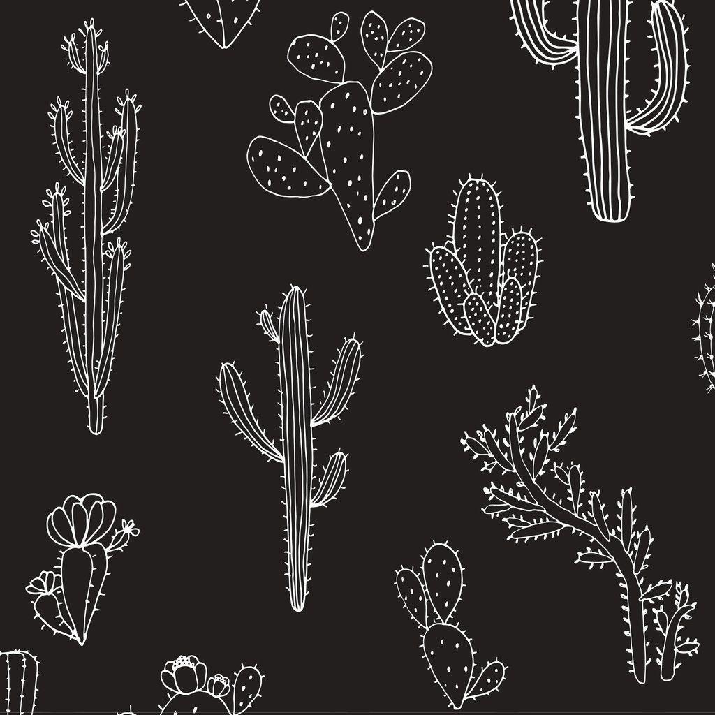 Black Cactus Wallpapers - Top Free Black Cactus Backgrounds