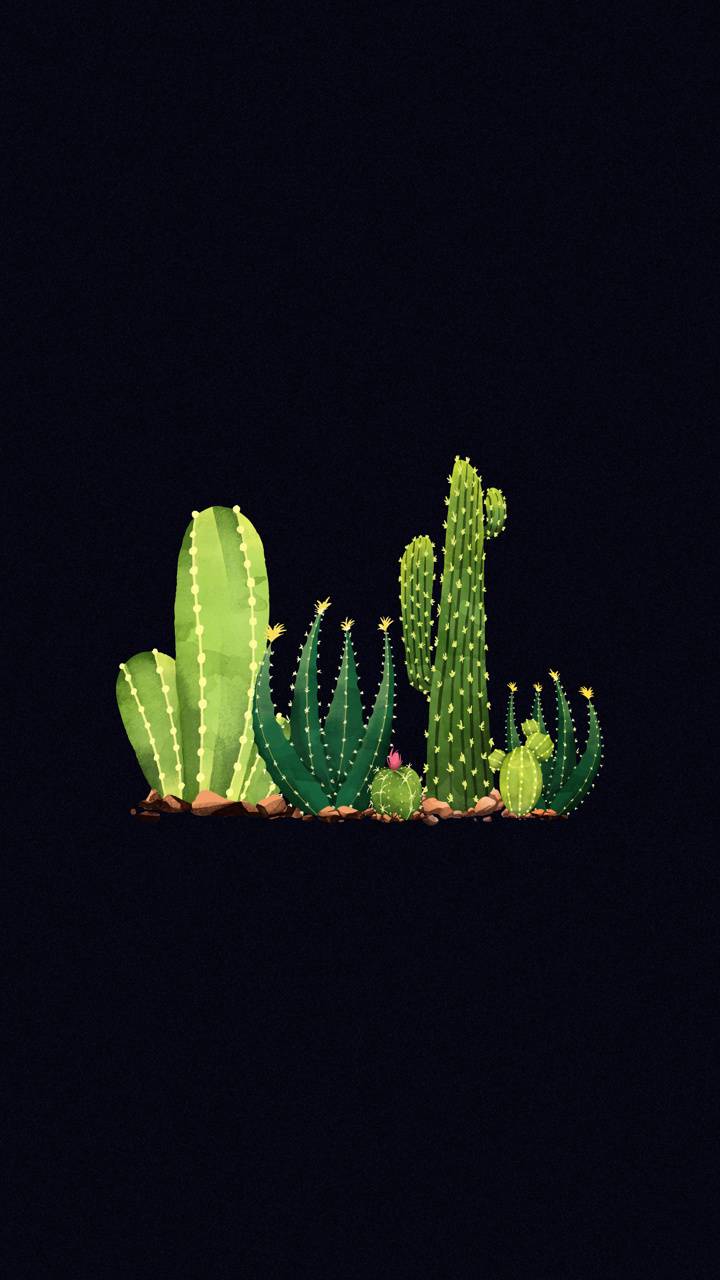 Black Cactus Wallpapers - Top Free Black Cactus Backgrounds