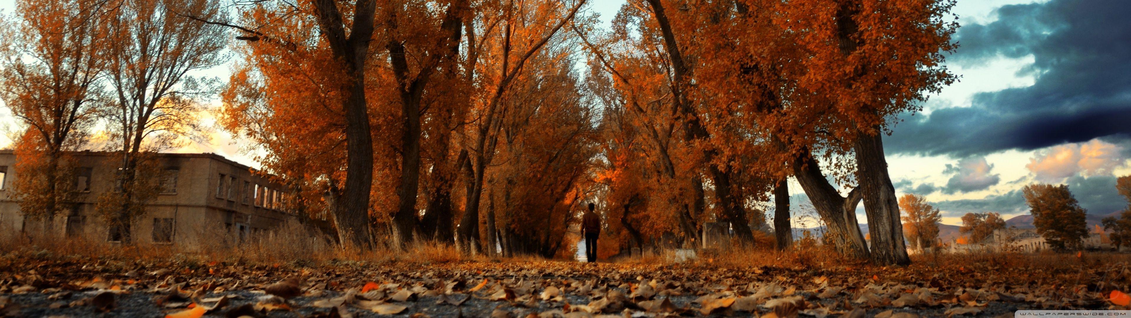 3840x1080 Autumn Wallpaper