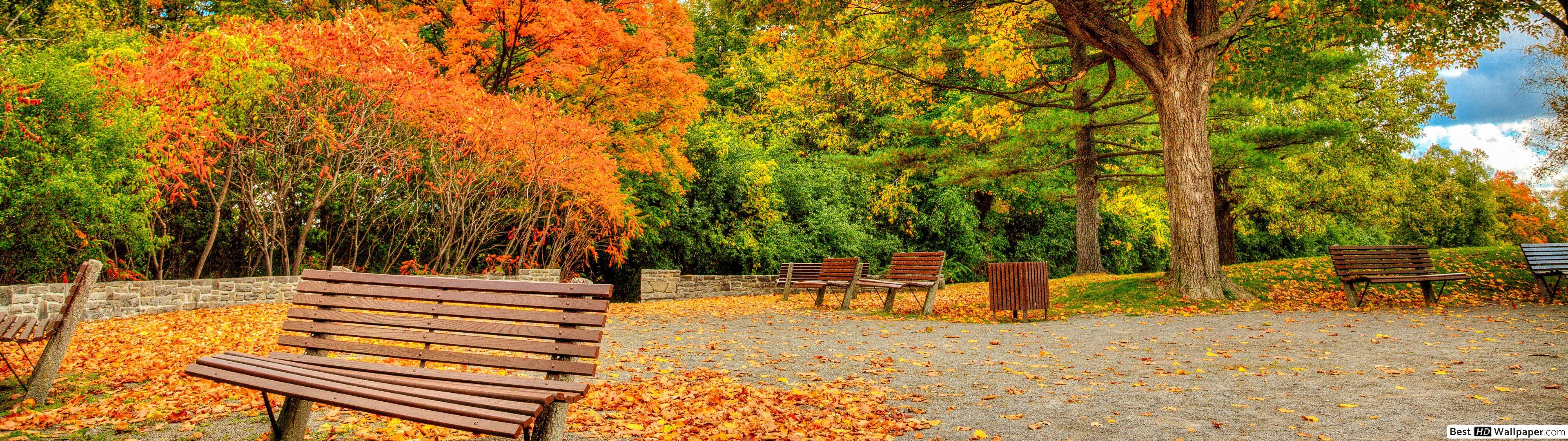 3840x1080 Bench in Autumn Park HD wallpaper download