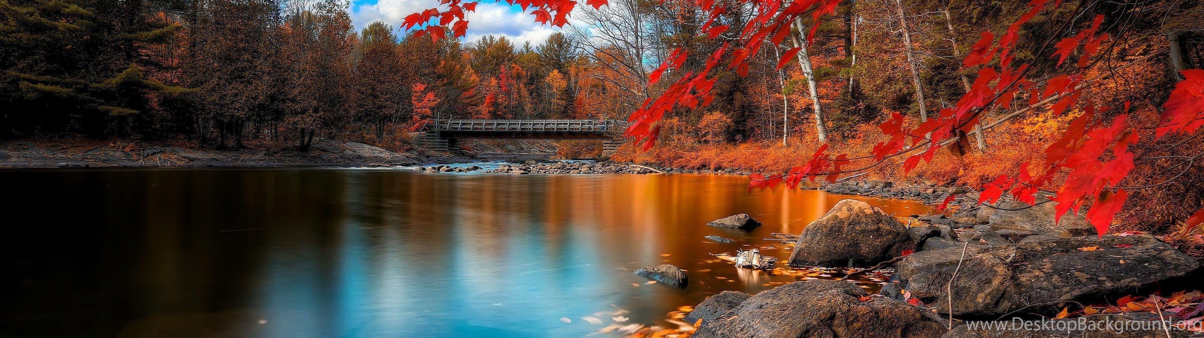3840x1080 Autumn Forest Wallpaper, Nature / Forest: Autumn Forest, Leaves. Desktop Background