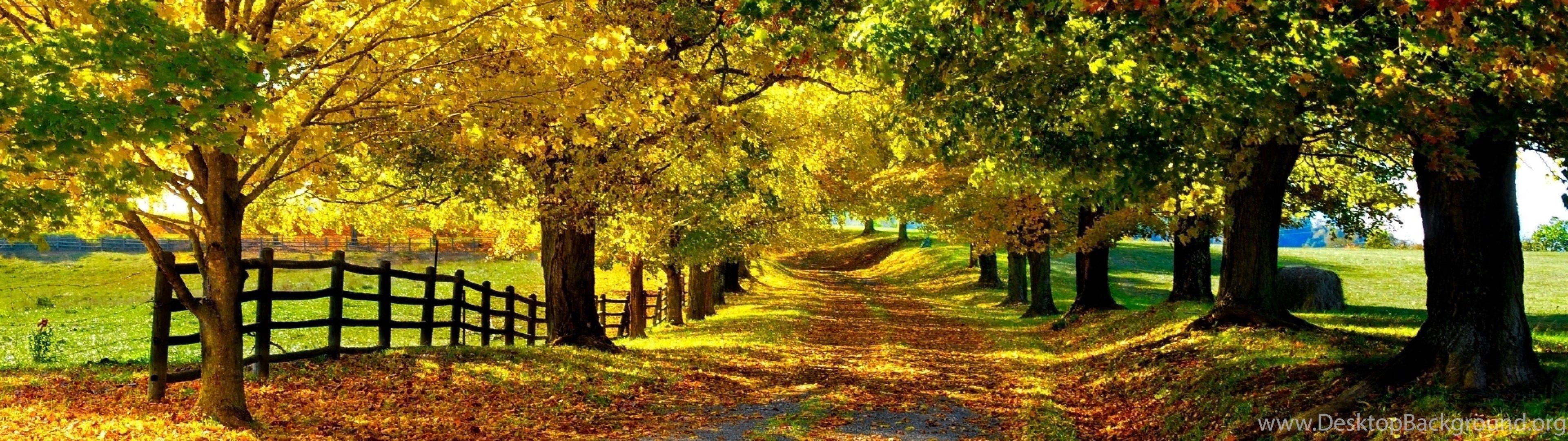 1080 autumn background