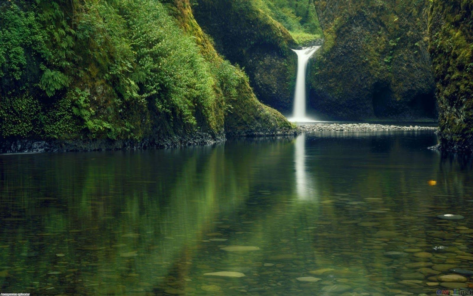 1600x1000 Album Nature: Lake Forest Full HD Waterfall Nature Wallpaper for Laptop Background