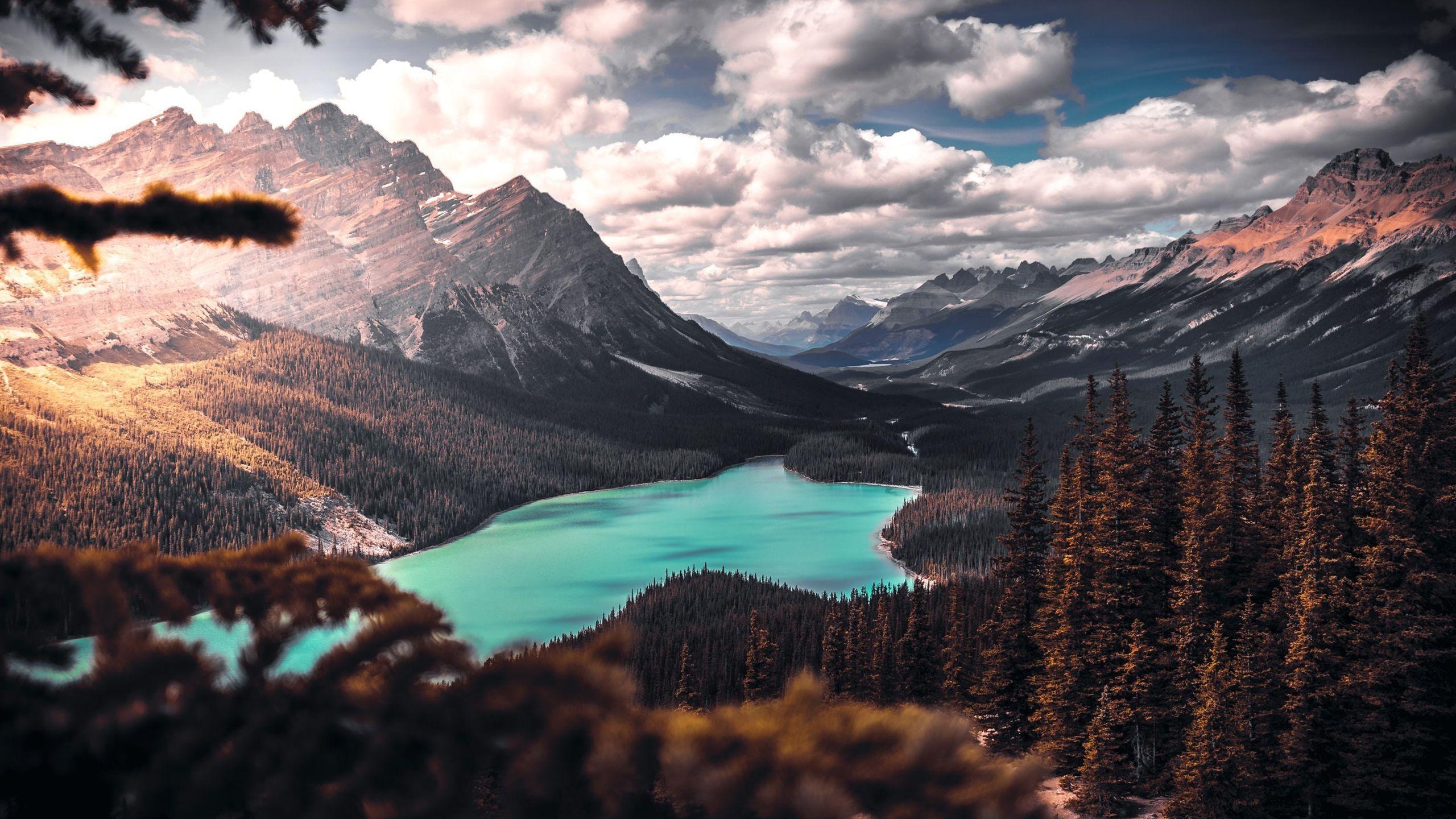 2560x1440 Lake, Mountain, Trees, Clouds, Scenic. Scenic wallpaper, Landscape wallpaper, Scenic landscape