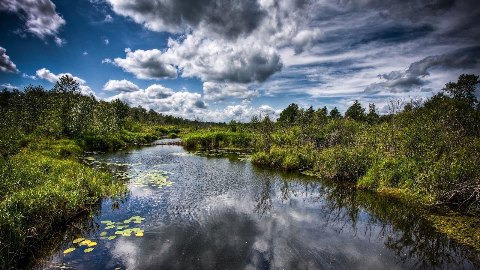 1600x900 sweetcouple: High Res Nature Wallpaper. Beautiful Lake Forest Full HD Nature Background Wallpaper For Laptop Widescreen