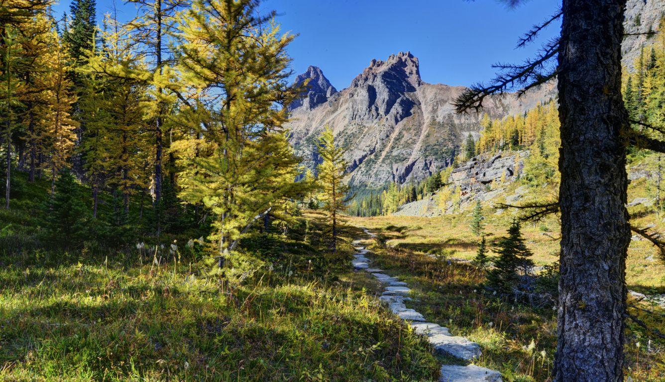 1336x768 yoho national park, canada, mountains HD Laptop Wallpaper, HD Nature 4K Wallpaper, Image, Photo and Background