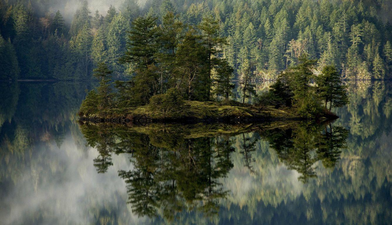 1336x768 forest, lake, reflection HD Laptop Wallpaper, HD Nature 4K Wallpaper, Image, Photo and Background