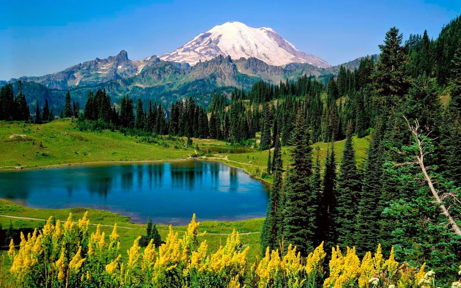 1600x1000 Mount Rainier National Park, Sunrise .