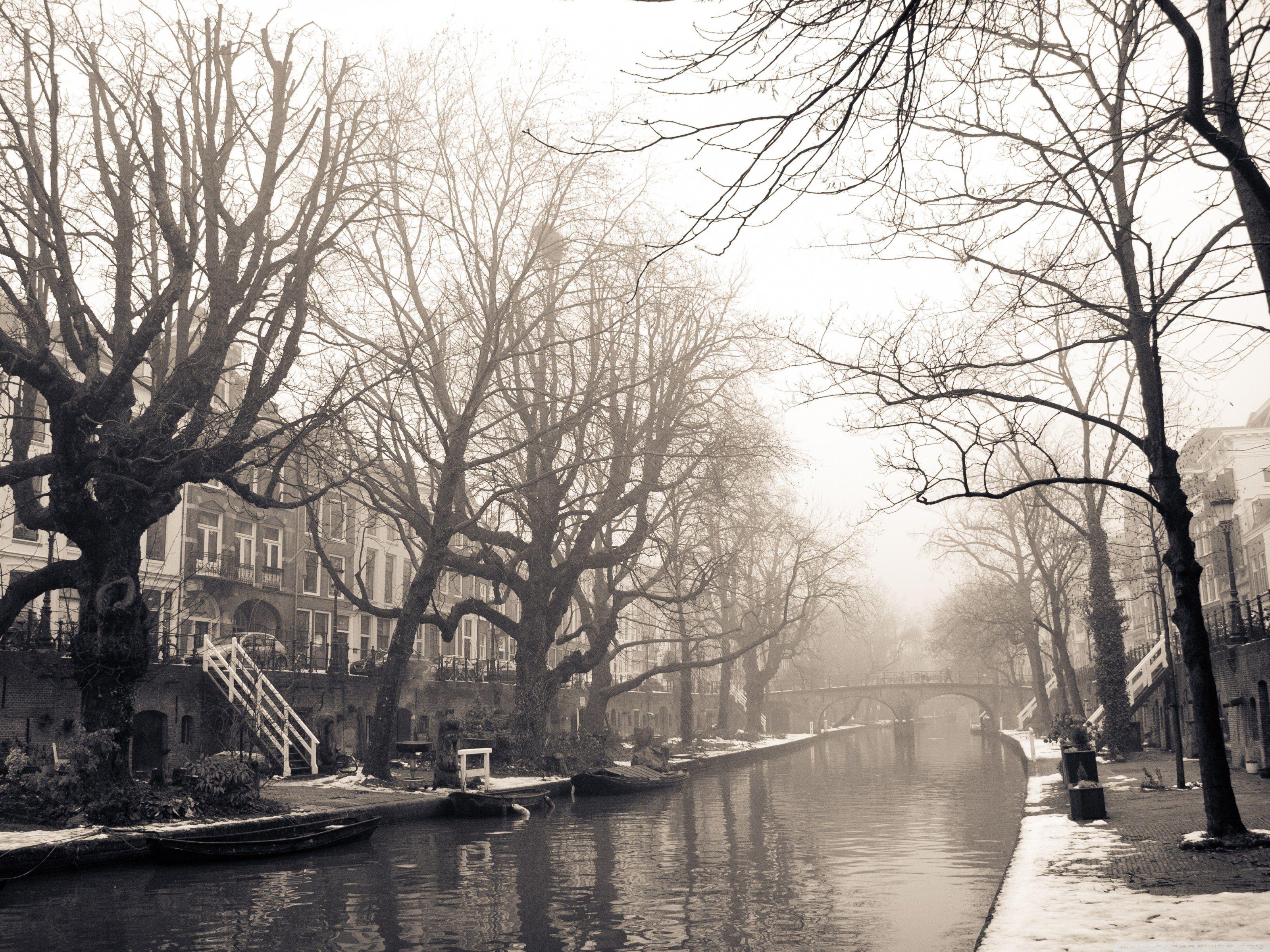 3200x2400 Free download city mist winter wallpaper 3200x2400 Magic4Wallscom [3200x2400] for your Desktop, Mobile & Tablet. Explore City Winter Wallpaper. Winter Wallpaper Background, Free Winter Wallpaper, Free Winter Wallpaper For Desktop