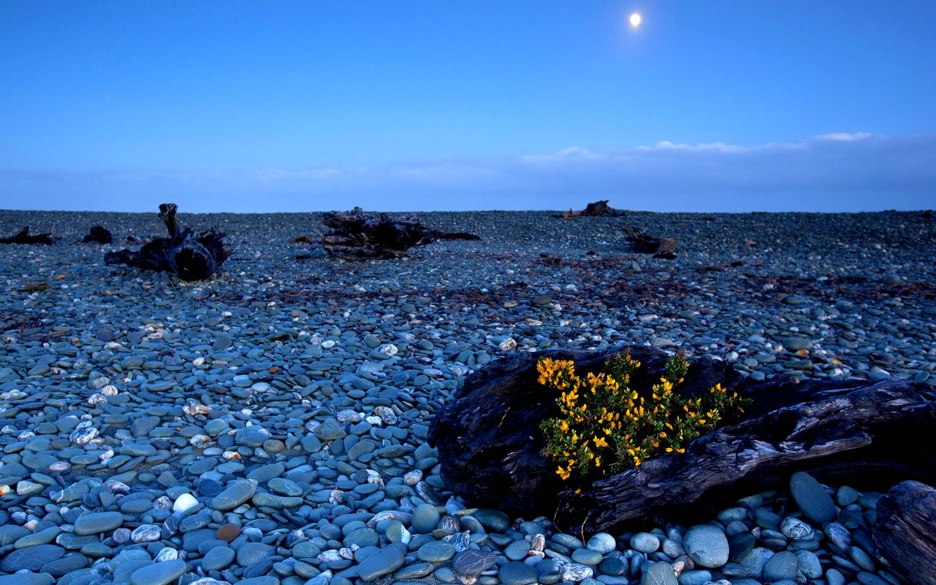 1920x1200 Beach At Night Wallpaper