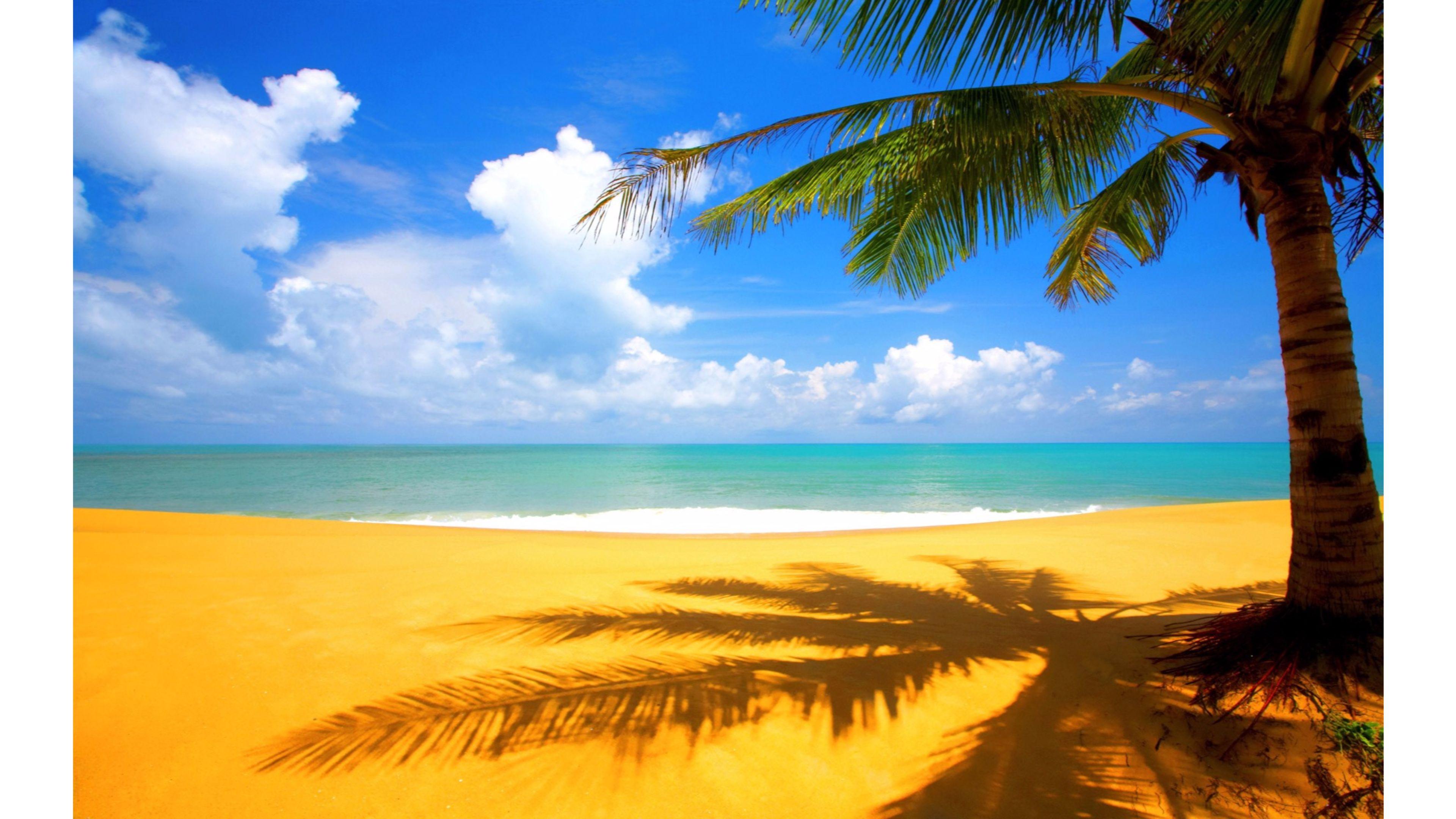 3840x2160 Nature Amazing Pics Hd Wallpaper Desktop Background Image Yellow Beach 4k Wallpaper