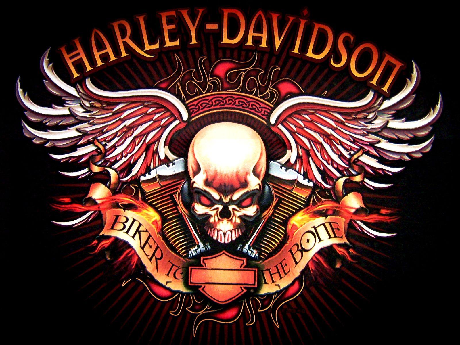 Hình nền và hình nền HD 1600x1200 Harley Davidson