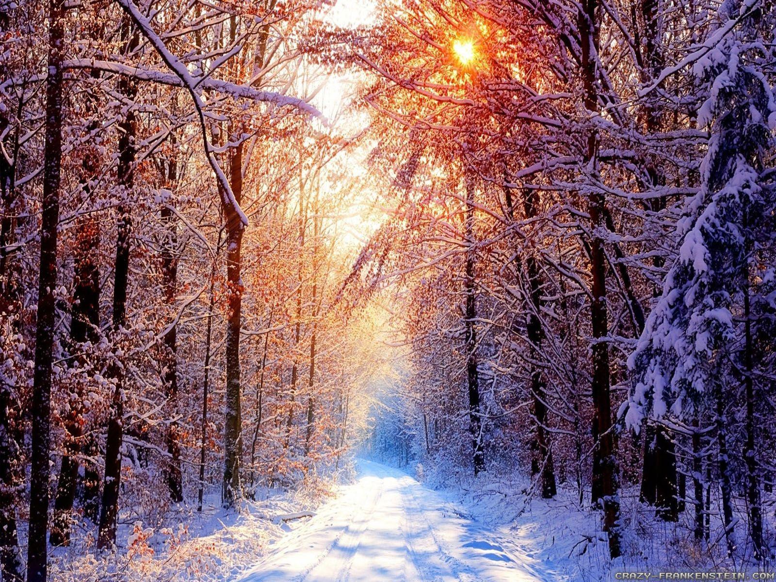 1600x1200 Winter Day wallpaper